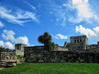 Mayan View