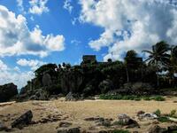 Castle In The Cove