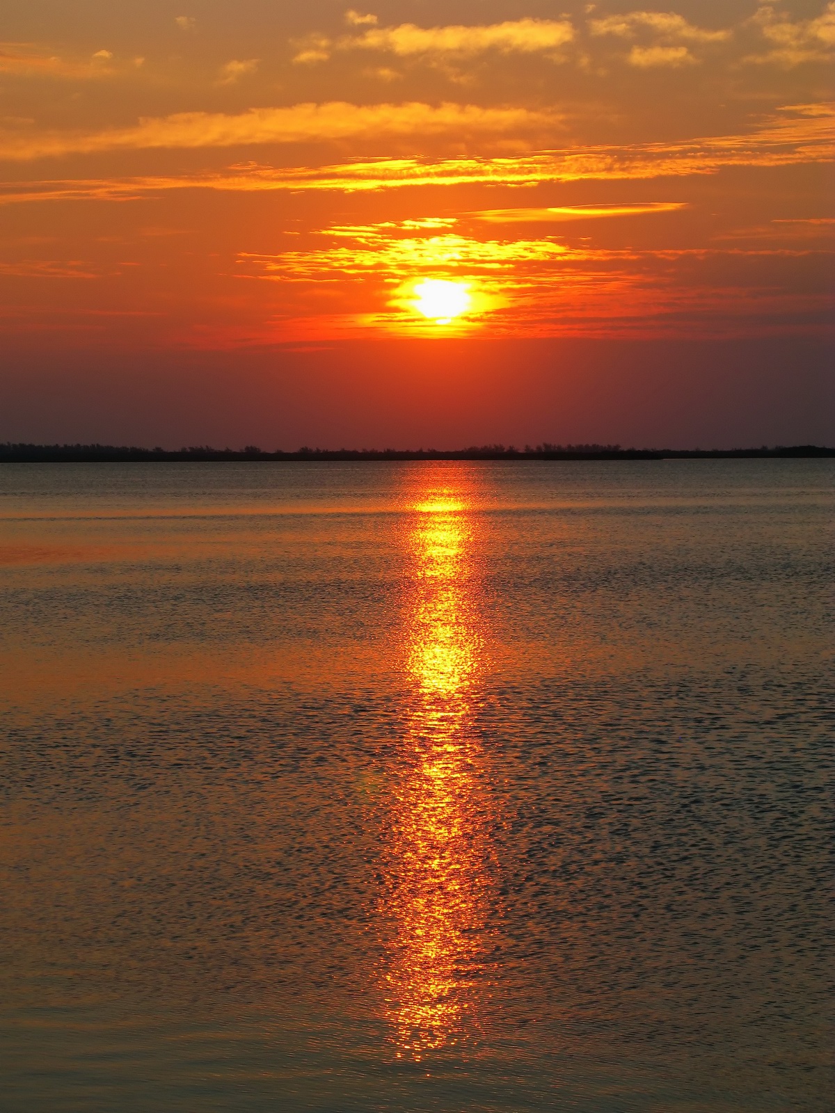 The metalic qualities of Bimini start at first light.