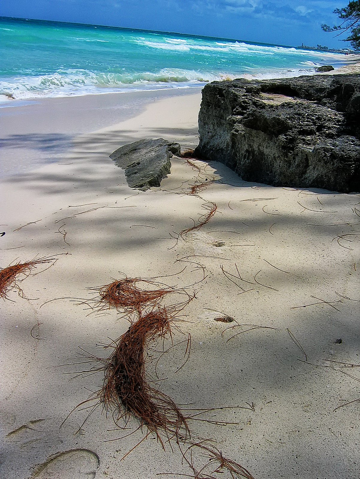 No trace of man left on this remote beach.