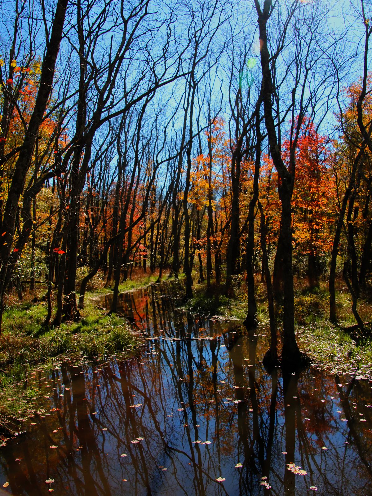 Wetlands are fringe areas that invite exploration with boots.