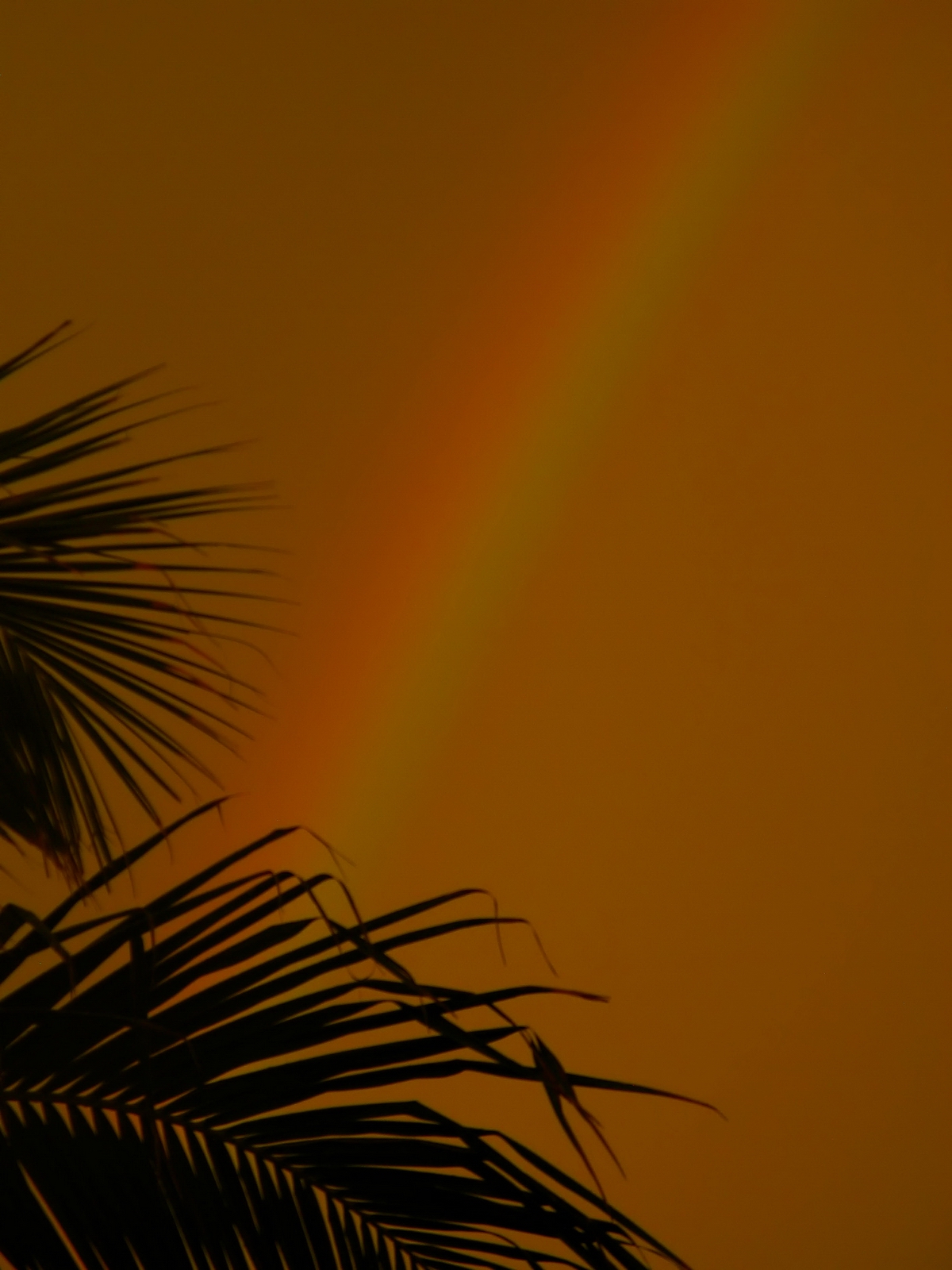 The Sunsets golden rays provided background for the rainbow.