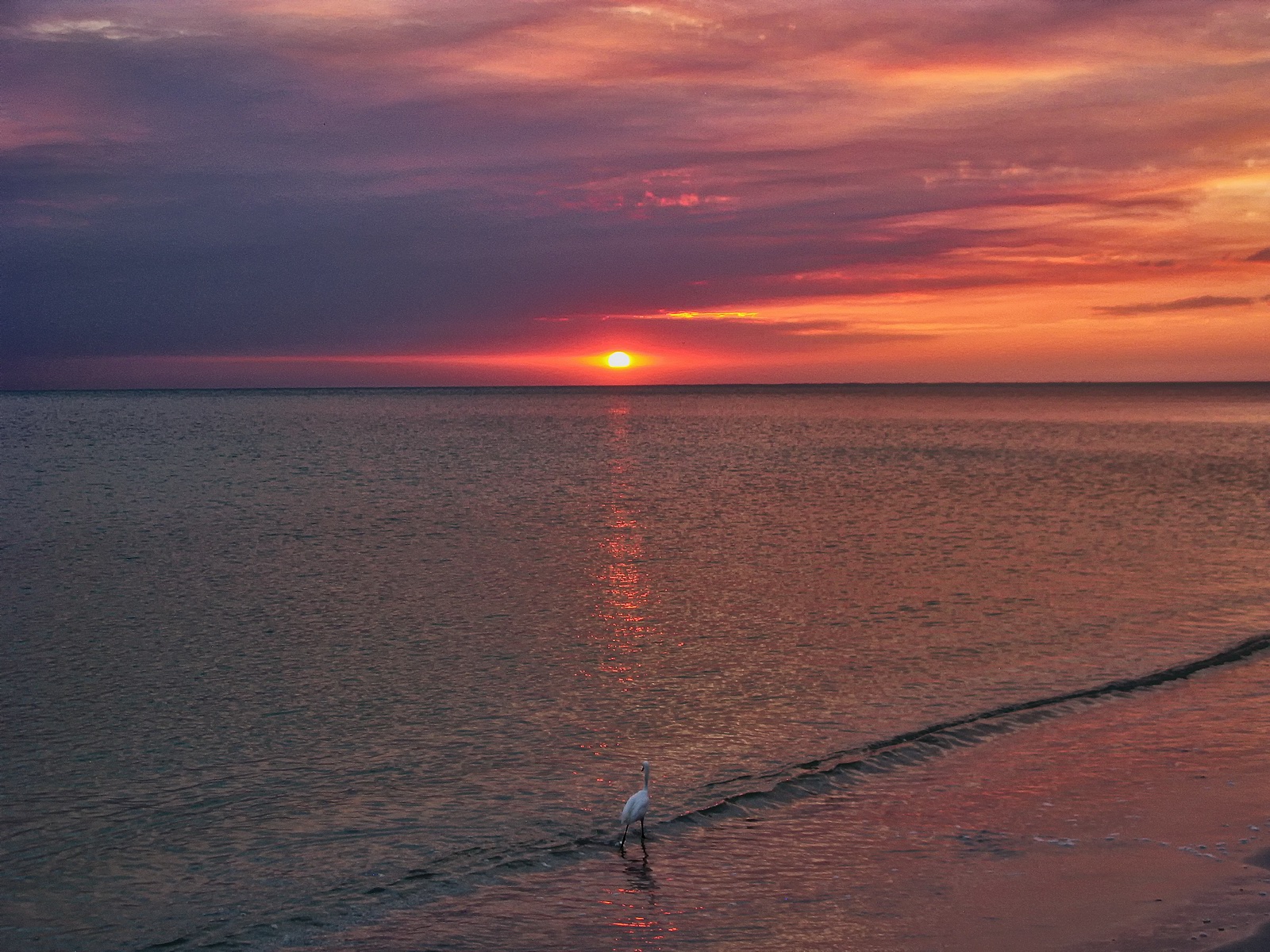 florida, bonita springs, lee county, , bonita beach