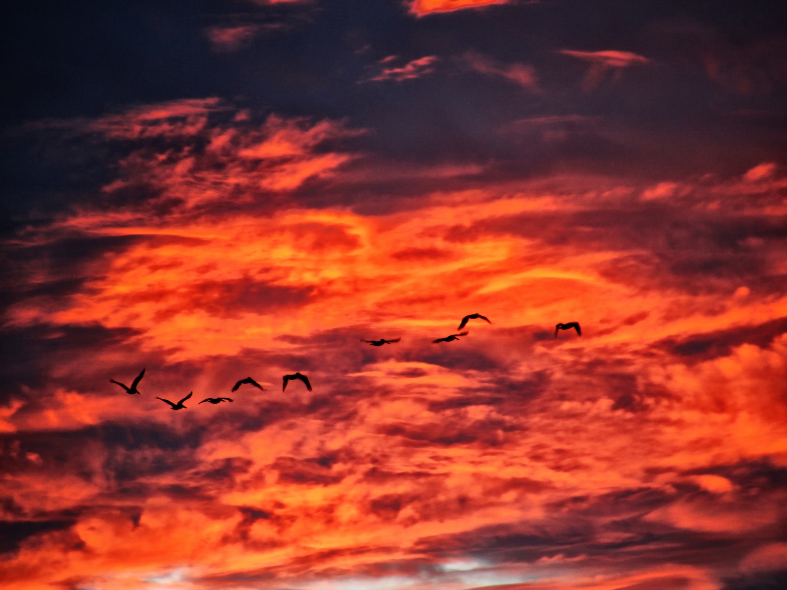 florida, fort myers beach, lee county,