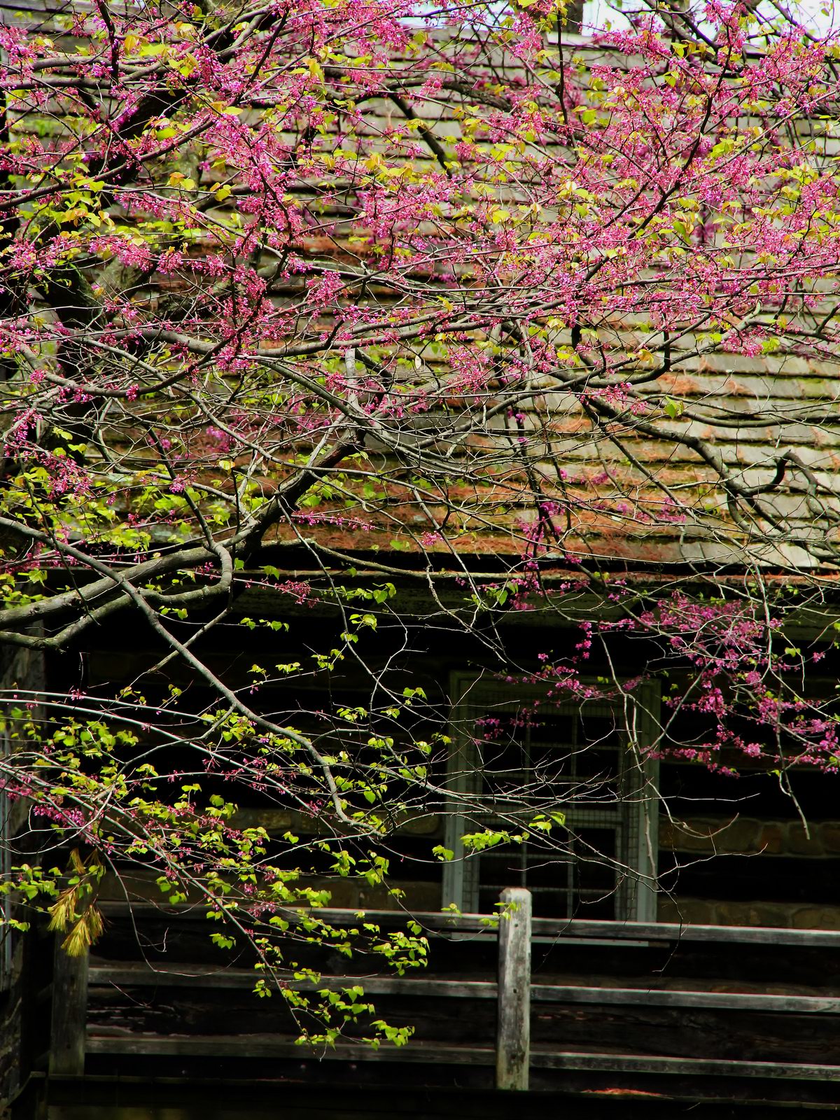 Hunters log cabin was built in 1739 by Abraham Kirper.