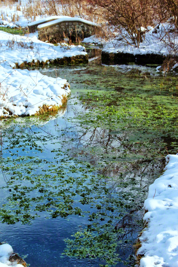 Spring Oasis Allentown, Pennsylvania Blue Turtle Galleries