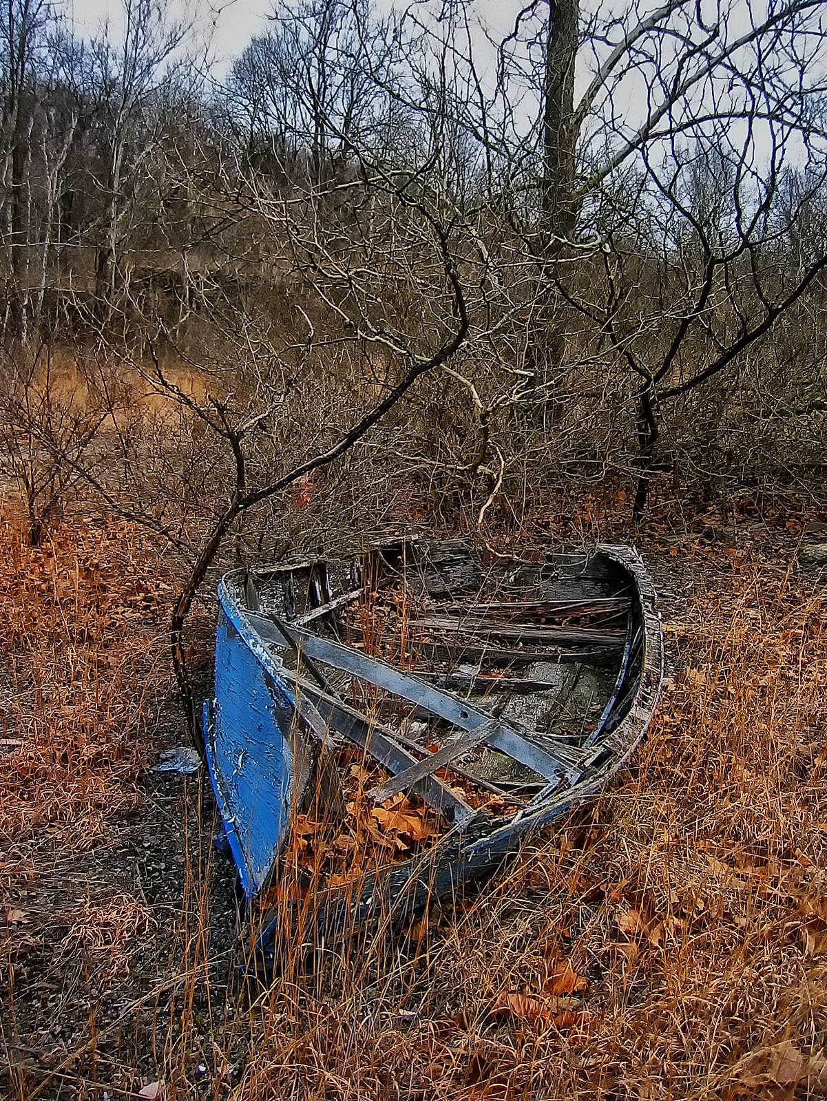 Along the Lehigh River this long forgoten boat seems to flow with its land locked position.