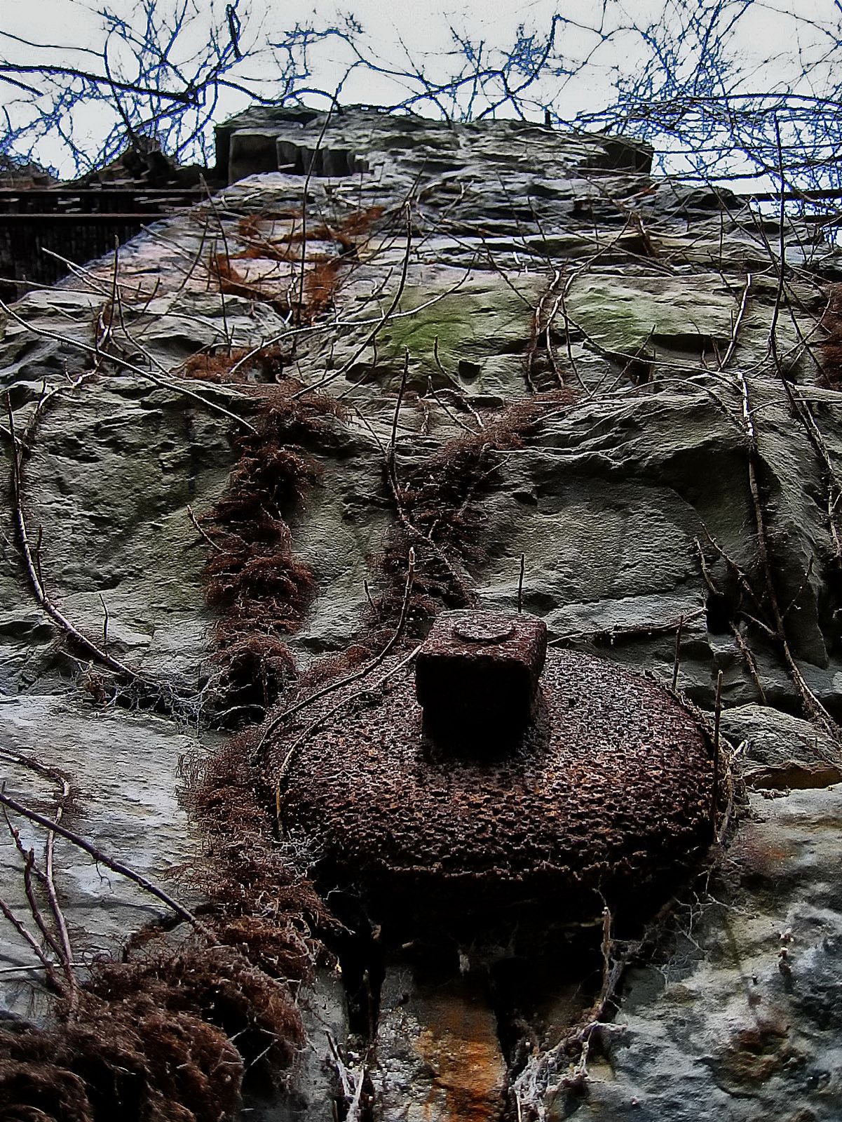 Poison Ivy and rust share an old structure sitting in the woods close to the Lehigh River.