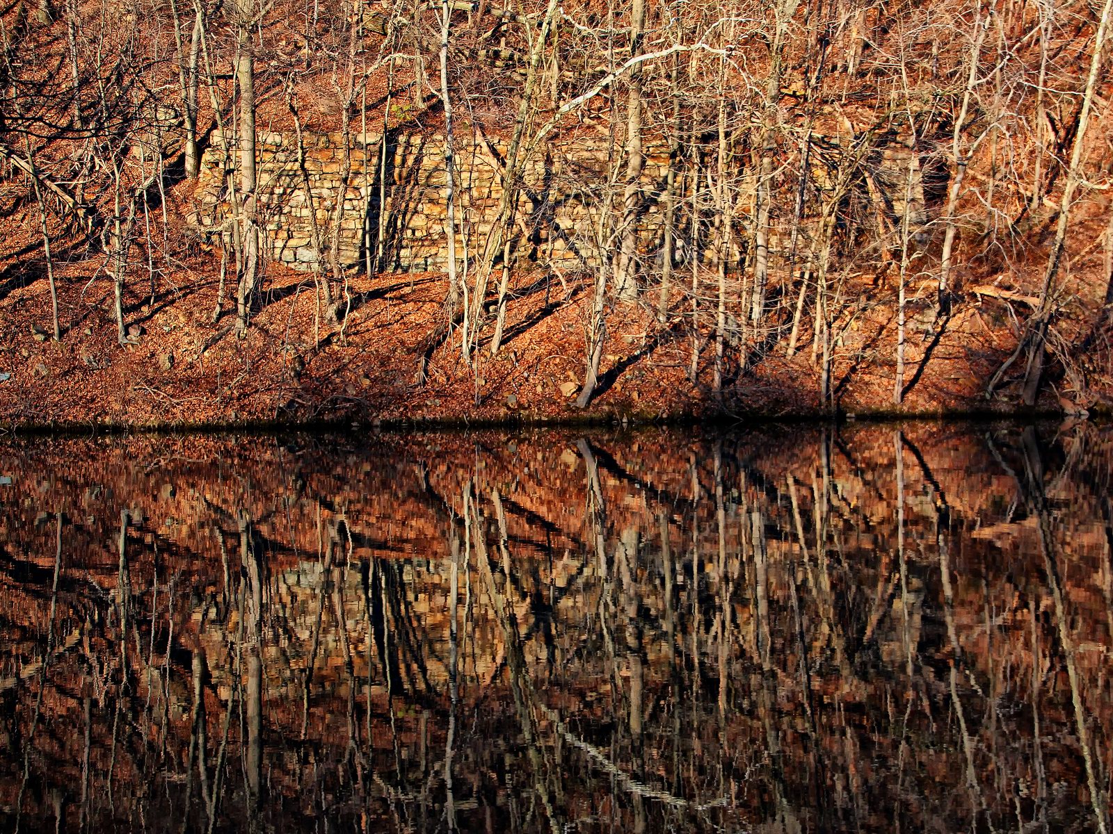 A reflected image of New Kernsville Lake and the Schuykill River flowing togeather.