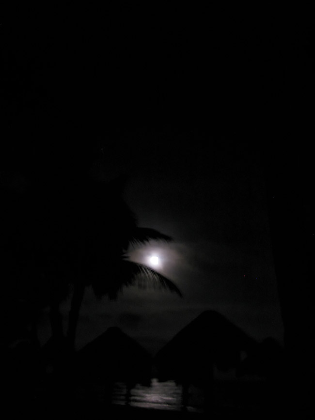 A Yucatan Peninsula tropical full moon.