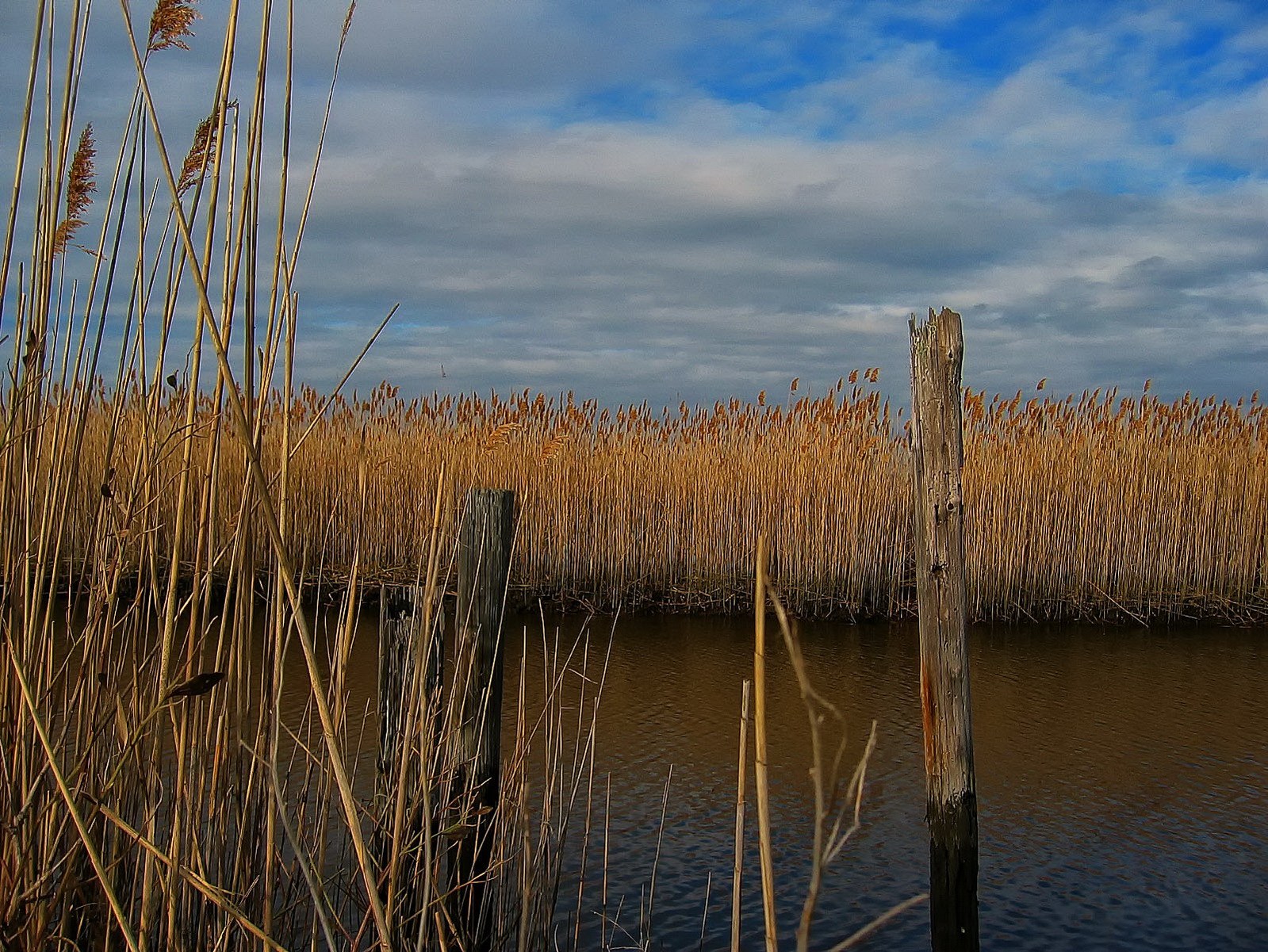 Cold winter winds added to the desolation and beauty of the estuary.