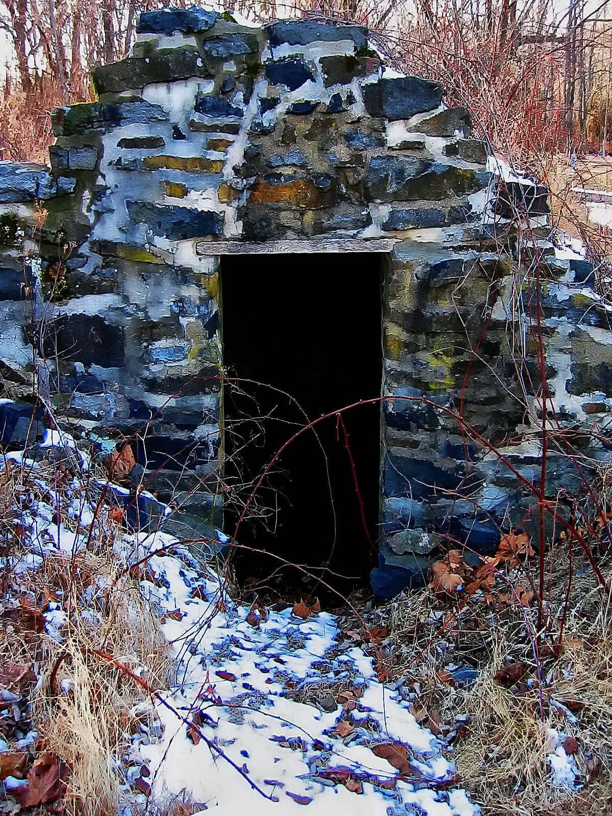 A root cellar is a place thats neither hot nor cold.