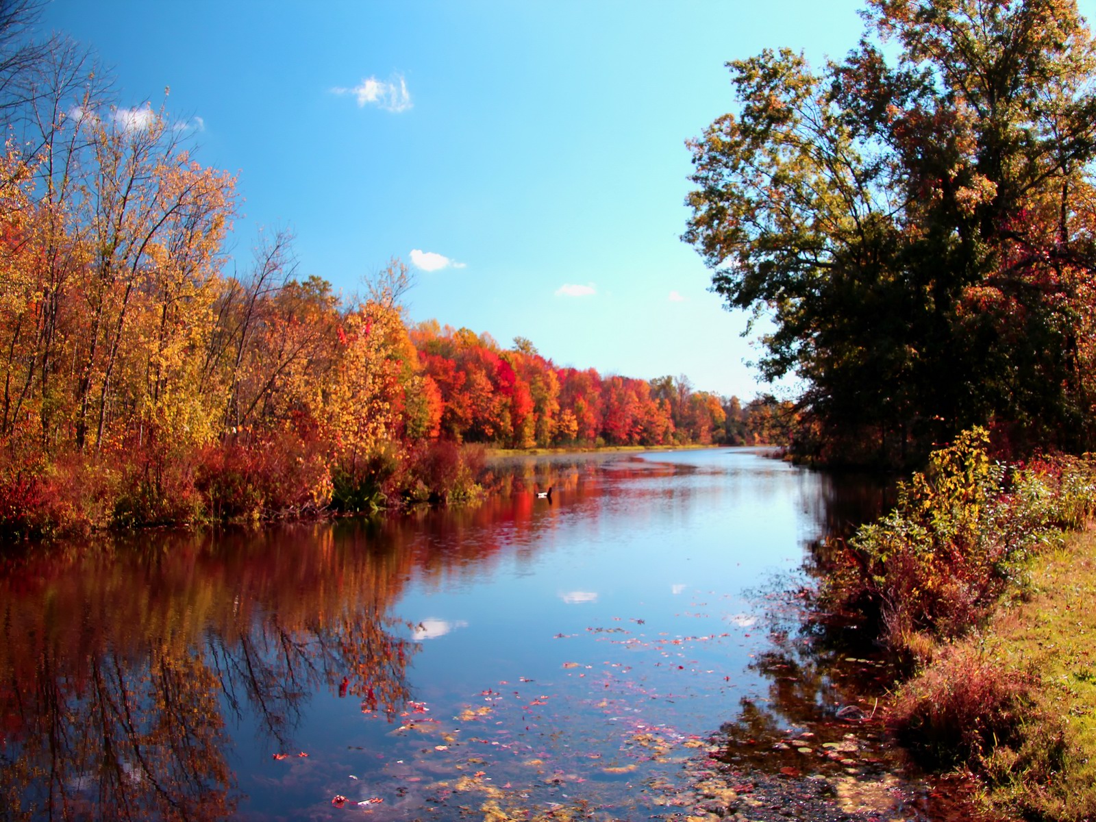 Fall colors beckon those who drift into the lake.