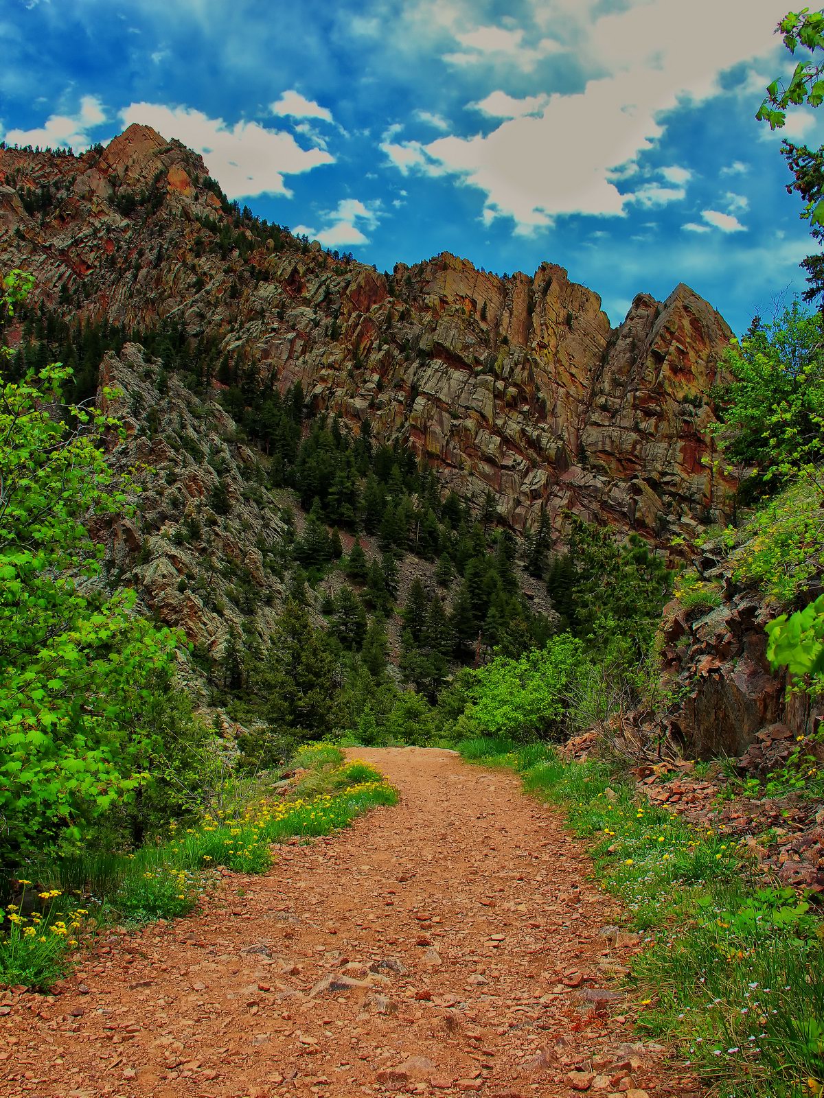 Rattlesnake Gulch Trail lived up to its name with twists and turns.