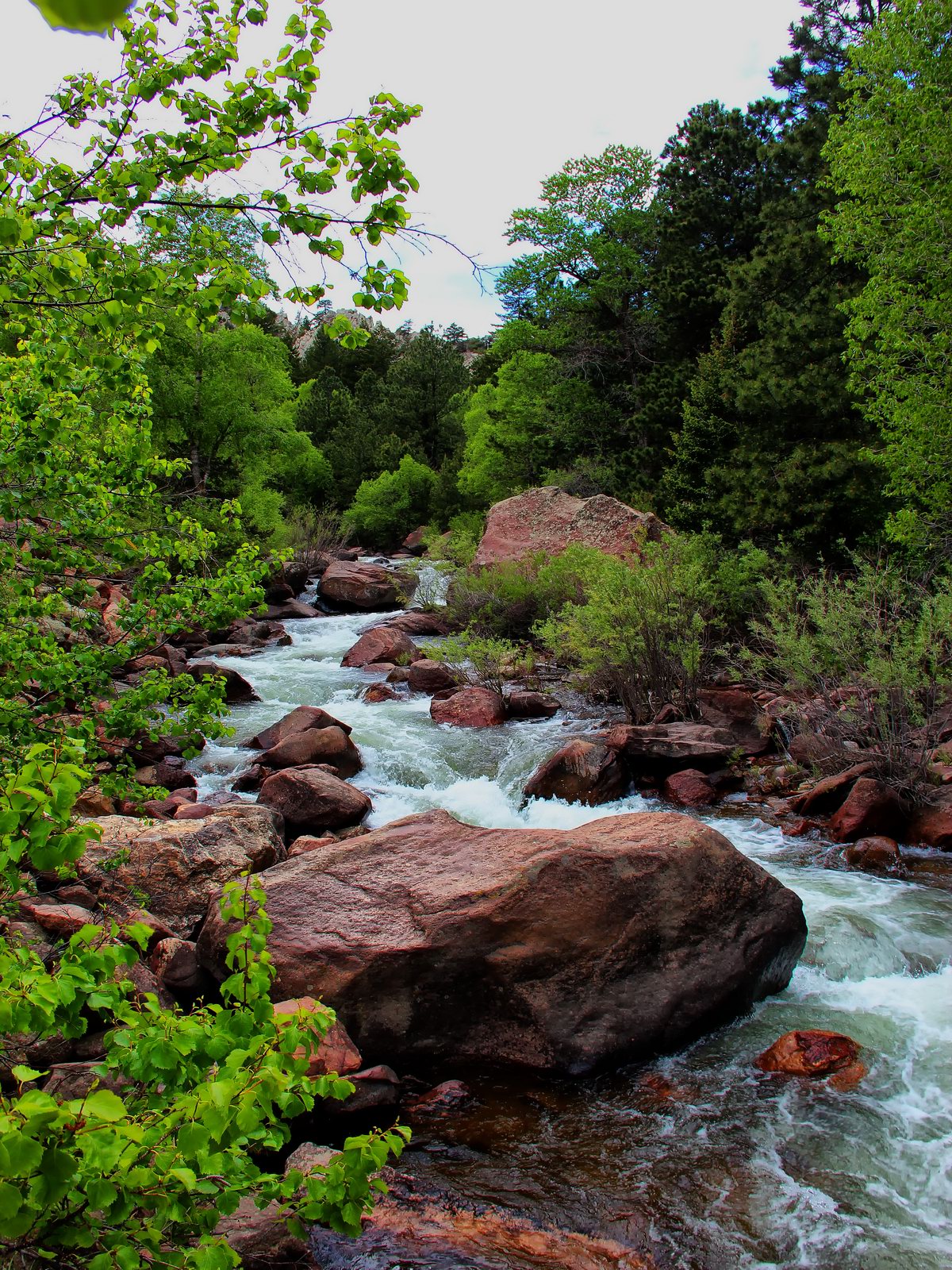 The Continental Divide provides the cold water in South Boulder Creek.