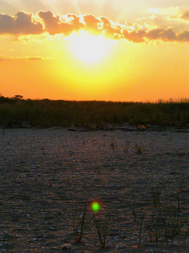 Walking in the sand dunes, this green orb appeared on two different cameras.