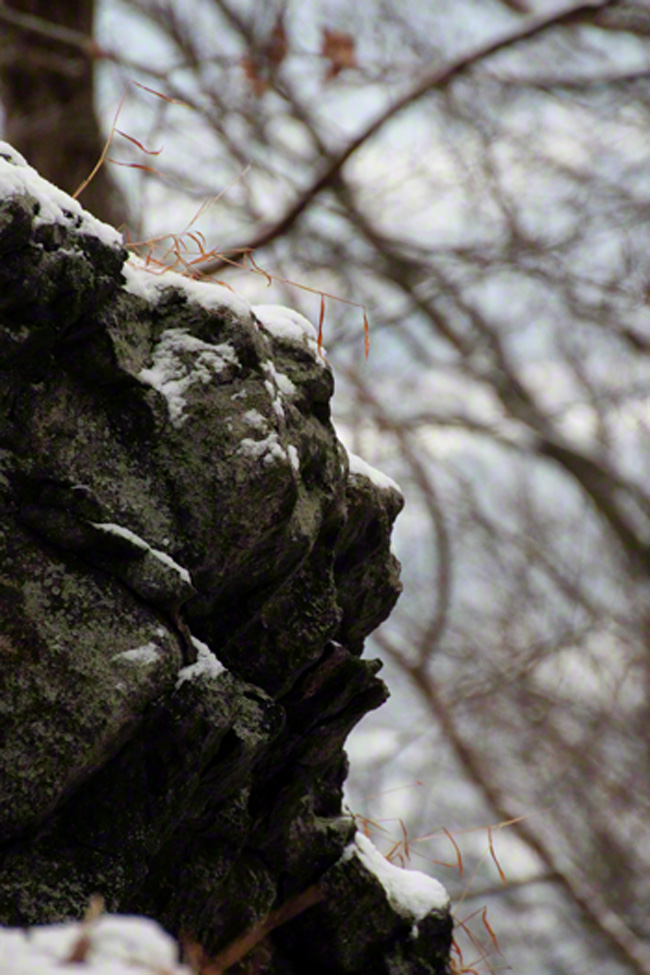 Hiking alone at South Mountain Big Rock Park. I heard a voice call out at me, and took this picture.