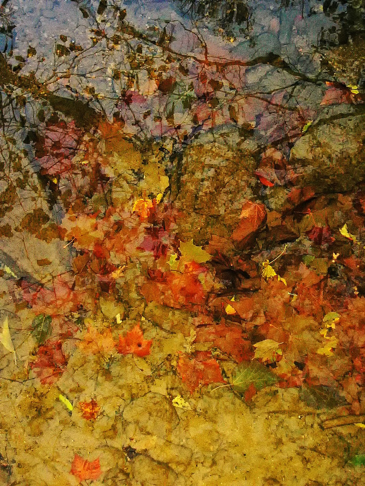 The waters and light this day were magical and multi -dimensional.
